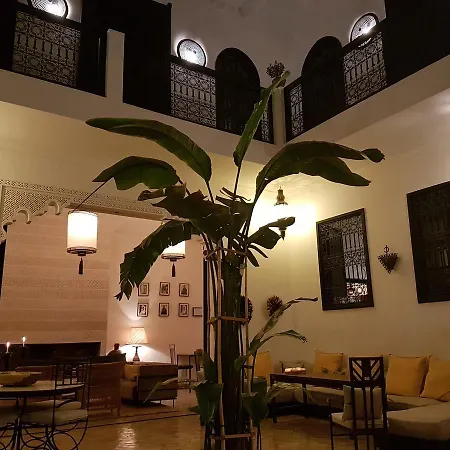 Riad Danka-3